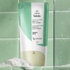Shampoo Detox Natura Tododia Te de Hierbabuena y Genjibre Refill
