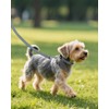 Joytale Small Dog Collar, Reflective and Adjustable Nylon Collar with