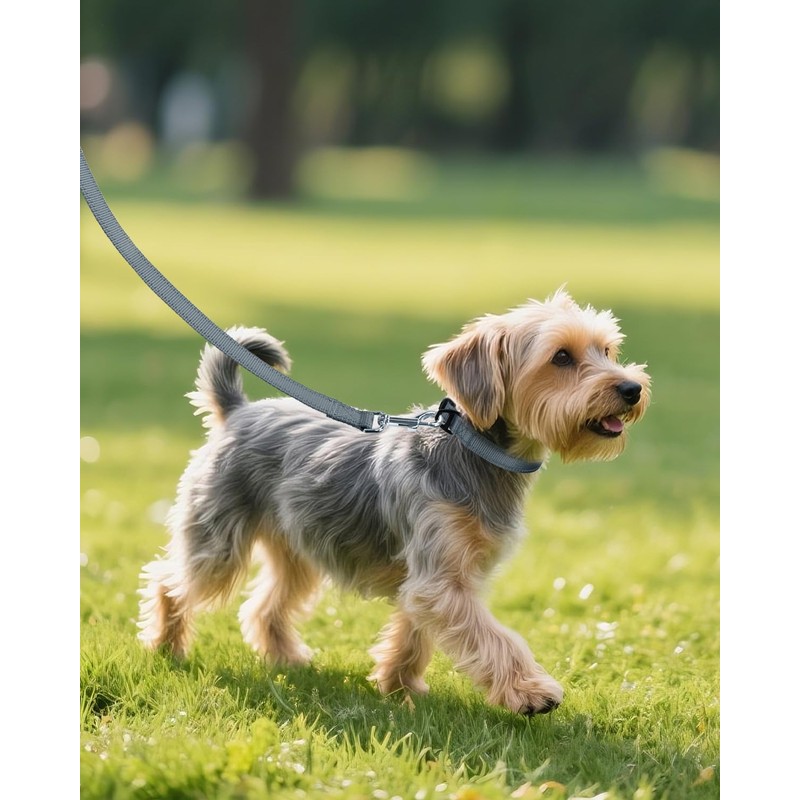Joytale Small Dog Collar, Reflective and Adjustable Nylon Collar with