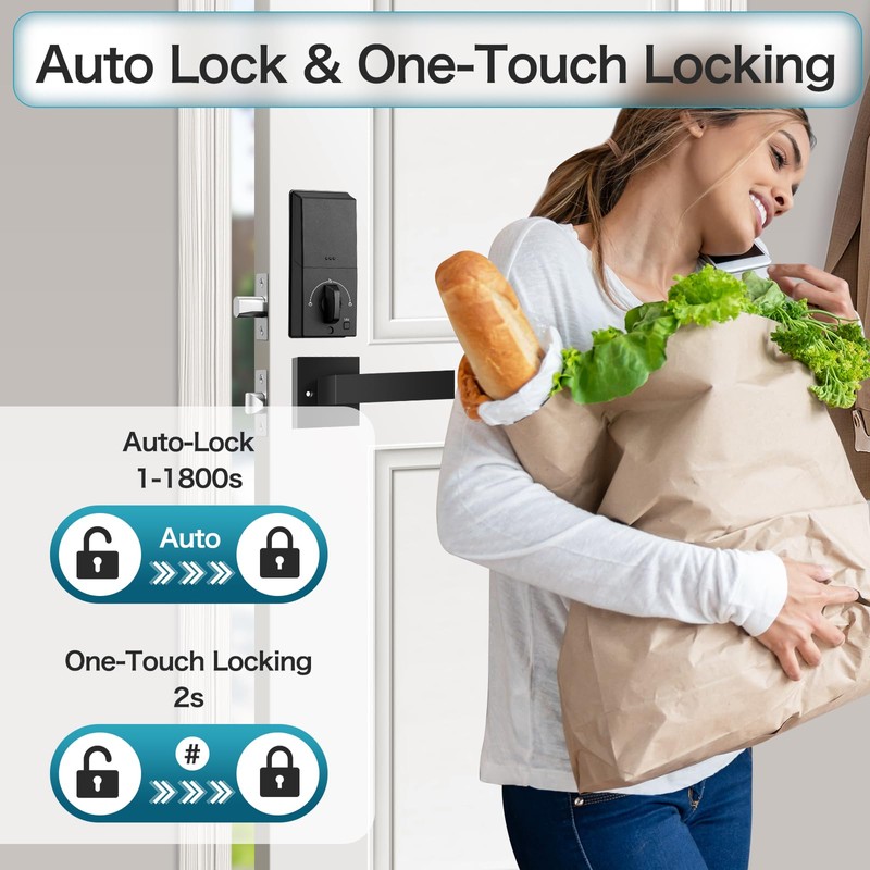 Keyless Entry Door Lock Deadbolt with Handle Set, Smart Locks