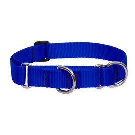 LupinePet Basics 1" Blue 19-27" Martingale Collar for Large Dogs
