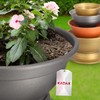 KADAX Flower Bowl with Base, Weatherproof Plastic Plant Bowl, Ball