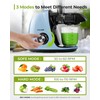 Jocuu Slow Masticating Juicer with 2-Speed Modes - Cold Press