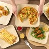 ECOLipak 10 Inch Compostable Palm Leaf Plate Like Bamboo Plate,