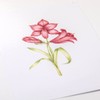 Pergamano Amaryllis - Frosted Floral Overlay Pack, PER-PA-70416-XX