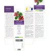 Bearberry (Arctostaphylos Uva Ursi) Leaves Alcohol-Free Mother Tincture Naturalma Liquid