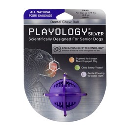 Playology Pork Sausage Scent Dental Chew Ball Dog Toy, Small