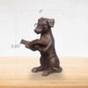 Young's Inc Resin Reading Dog with Glasses