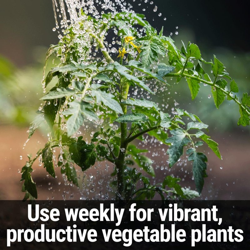 Seedlingers Tomato Food 16 oz Pint Concentrate