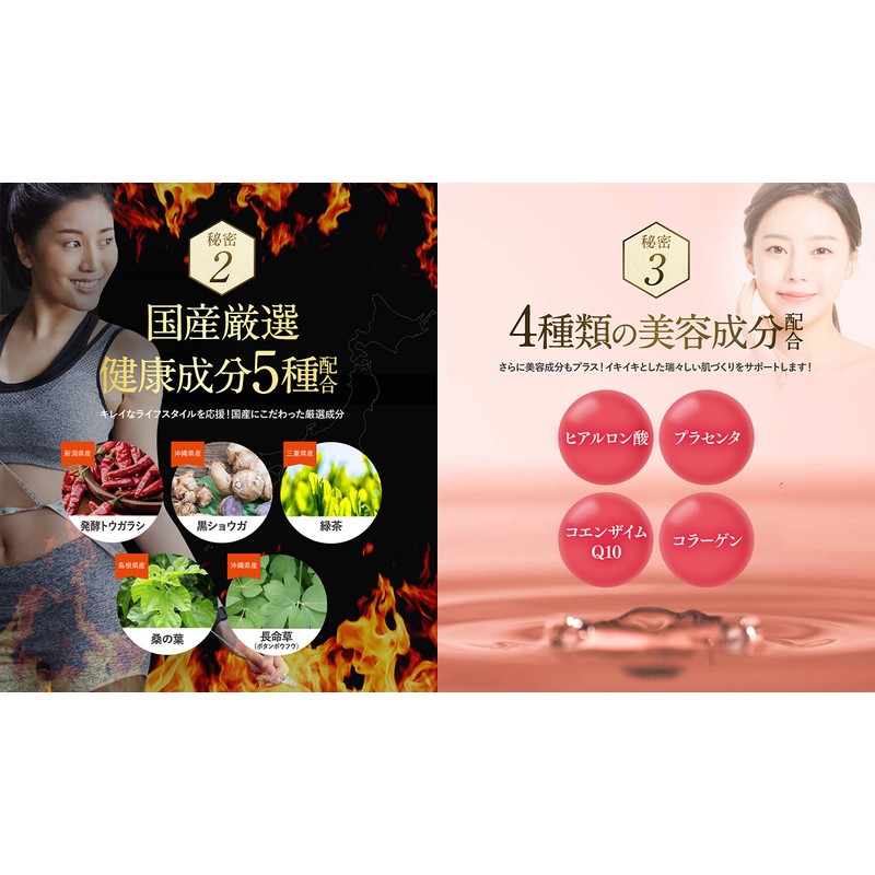 自然派研究所 肥後生まれのすらっとすっぽん 60粒/1袋 アミノ酸 [ すっぽん 卵黄 黒酢 ビタミンC ビタミンE