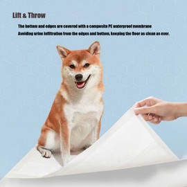 Dog Training Pad, Puppy Pet Pads, Leak-Proof 6-Layer Pee Pads with Quick-Dry Surface for Potty Training, for Housebreaking and Training, Puppy Pads, 13*18 inch-100pcs (40, L)