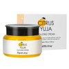 Clear and moist radiant citron cream with the power of vitamin C 100g / 비타민C의 힘으로 맑고 촉촉한 광채 유자 크림 100g