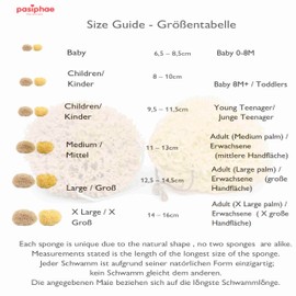 Pasiphae Unbleached Honeycomb 100% Natural Bath Sea Sponge from Greece, Hypoallergenic Organic,Soft & Durable, Ideal for Shower Children, Adults Cleansing & Exfoliating,-Pets, Arts & Gift,(S.Small)