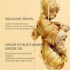 2 Stück Ginger Hair Growth Serum, Ginger Treatment Oil, Hair