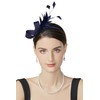 BABEYOND Fascinator Headband for Women - Tea Party Headpiece Kentucky