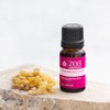 Frankincense Essential Oil (Boswellia carterii) - 100% Pure, Organic, Therapeutic