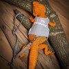 Agamino Bearded Dragon Leash and Harness, Adjustable Lizard Reptiles Harness