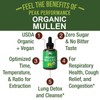Liquid Mullein Leaf Drops – Herbal Respiratory Support, Natural Lung