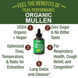 Liquid Mullein Leaf Drops – Herbal Respiratory Support, Natural Lung & Throat Relief, Immune System Booster, Alcohol-Free, 1 fl oz (30ml)