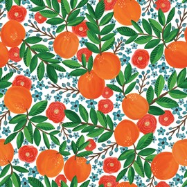 Jillson Roberts Bulk Gift Wrapping Paper, Mandarin Grove, 1/2 Ream 417' x 24"