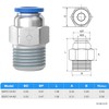 TAILONZ PNEUMATIC Male Straight 1/4 Inch Tube OD x 1/8