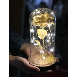RBN Beauty and The Beast Rose Enchanted Flower with LED Light in Glass Dome for Christmas Valentine's Day Mother's Day Birthday Best Gifts for Girlfriend Wife Women Her - Gold