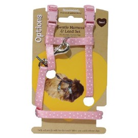 Polka Dot Harness & Lead For Rabbits Large