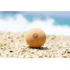Harmony Ball® Cork Massage Ball - Skin-friendly and 100% Ecological