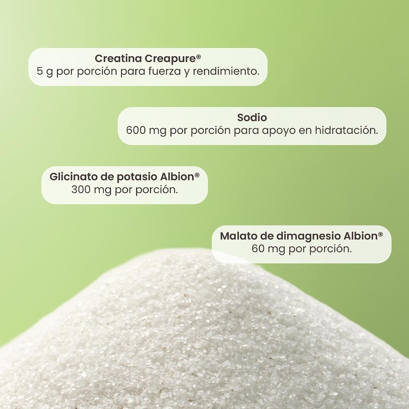 Electrolitos con Creatina Creapure U‑nit Stronger SA7162 – 24 sobres