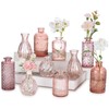 Glasseam Glass Bud Vases for Centerpieces, 10Pcs Pink Small Flower
