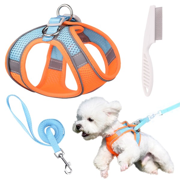 BDSHUNBF Dog Harness and Lead Set, Step-in Small Dog Vest,