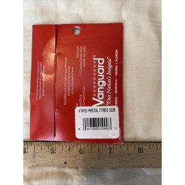 US Army Presidential Physical Fitness Patch Color