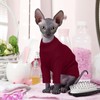 Hjyokuso Cat Clothes - Sphynx and Cornish Rex Jumper, Sweater,