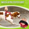 Eyein No-Pull Dog Harness, Air Mesh Breathable Chest Harness for