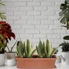 Whitefurze Venetian Window Box Tray 40Cm Terracotta