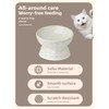 Ceramic Tilted Elevated Small Cat Bowl, for Fat Faced Cat,