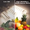 ALIDE G9 5W Led Bulbs 4000K Natural White,50W 60W Halogen