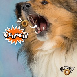 Fromm Crunchy Os Peanut Butter Jammers Dog Treats - Premium Crunchy Dog Treats - Peanut Butter Recipe - 26 oz