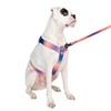 Spark Paws No Pull Dog Harness for Large Dogs, Heavy