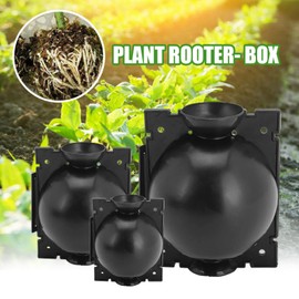 5/10x Plant Rooting Device High Pressure Propagation Ball Root Grow Grafting Box, 3 Sizes (S(5cm)/5pcs)