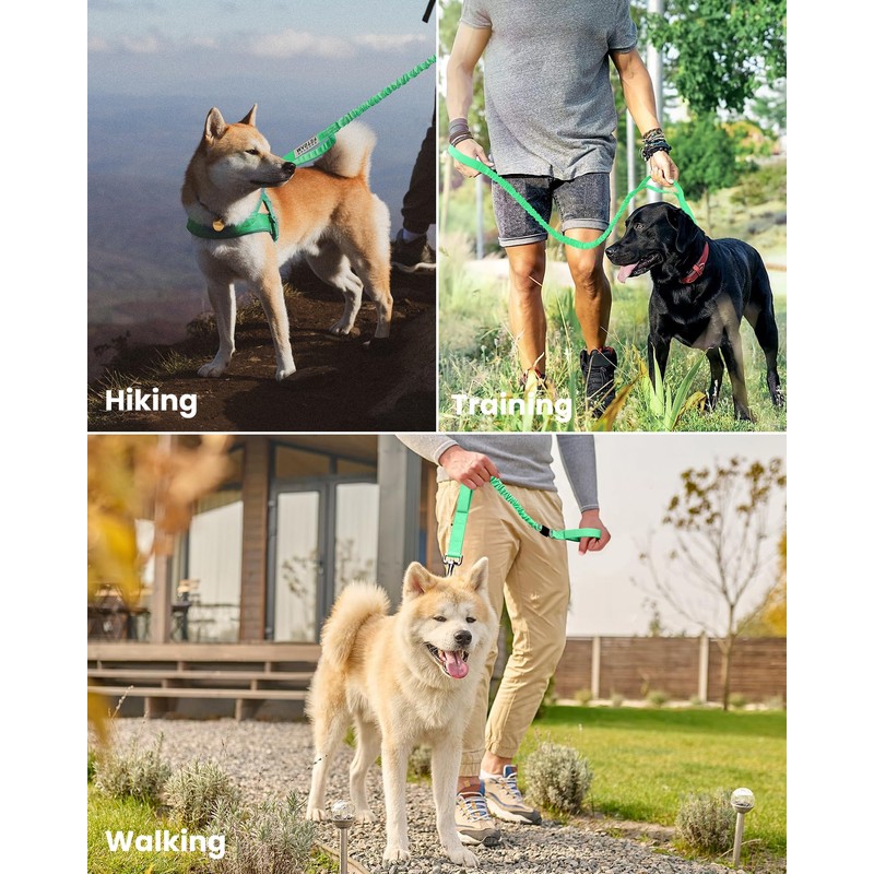 OutdoorMaster Bungee Dog Leash, Heavy Duty Dog Leash with Shock