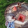 100 Sheets Red and White Checkered Dry Waxed Deli Paper