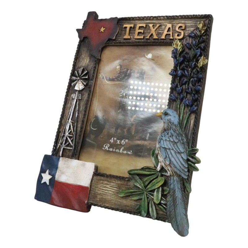 Ebros Gift Rustic Western Patriotic Texas Mockingbird Windmill Bluebonnets Picture