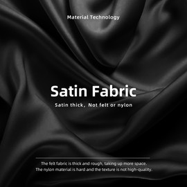 DGAZ Silk Organiser Bag for Evelyne TPM/PM/GM/TGM Bags, Luxury Handbag & Tote Organiser, Simplicity Handbag Organiser for Women (Black, PM)