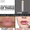 Kiss Assist Lip Plumper by Gerard Cosmetic for Women –