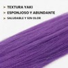 Extensiones Cabello Morado Pulgadas Largo Trenzas