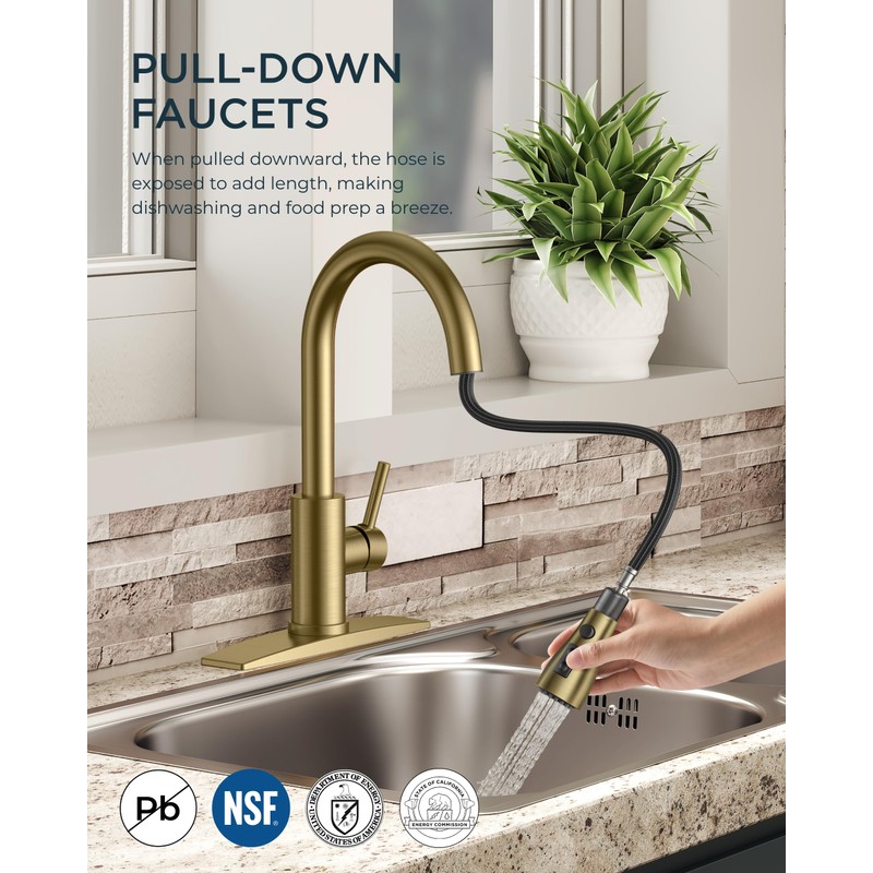 FORIOUS Gold Kitchen Faucet with Pull Down Sprayer, Bar High