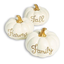 White and Gold Color Pumpkins with Hand Painted Fall Harvest Family Script Thanksgiving Tabletop Decorations 7-1/2"H