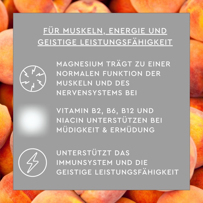SUNLIFE Magnesium 400 mg + B-Complex Sticks I 1 x