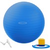 Fitvids Anti-Burst and Slip Resistant Exercise Yoga Ball for Fitness